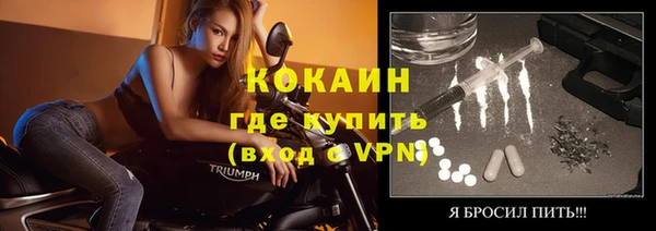 прущие грибы Горно-Алтайск