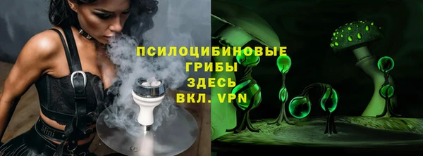 прущие грибы Горно-Алтайск