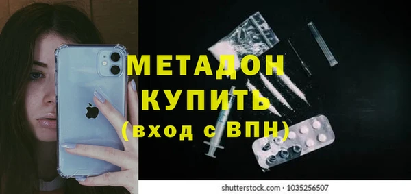 прущие грибы Горно-Алтайск