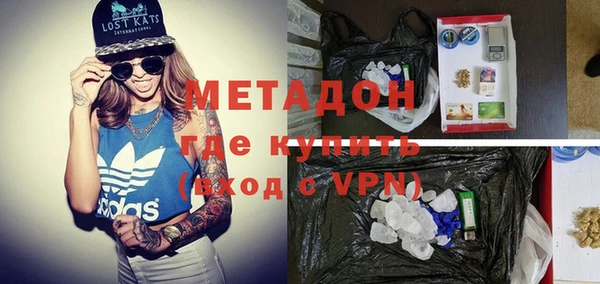 прущие грибы Горно-Алтайск