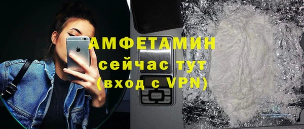 прущие грибы Горно-Алтайск