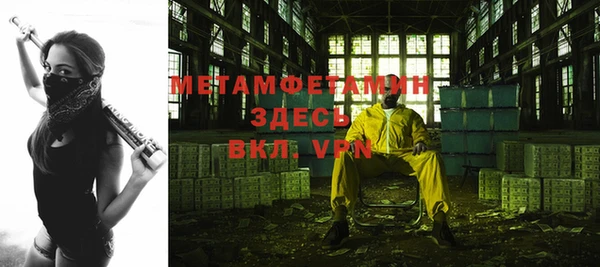 прущие грибы Горно-Алтайск