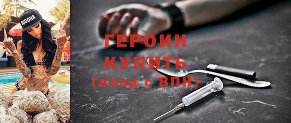 прущие грибы Горно-Алтайск