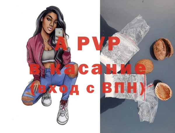 прущие грибы Горно-Алтайск