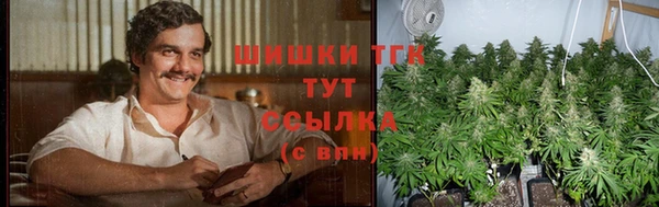 прущие грибы Горно-Алтайск