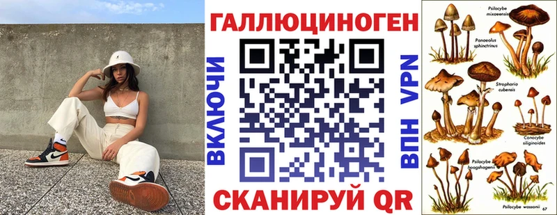 Купить закладки  Бежецк  Галлюциногенные грибы MAGIC MUSHROOMS 